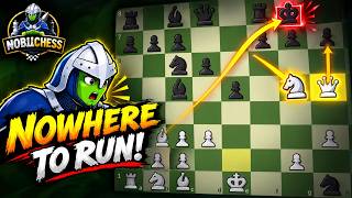Information I TRAPPED His King With a Queen & Knight! | Chess Checkmate News