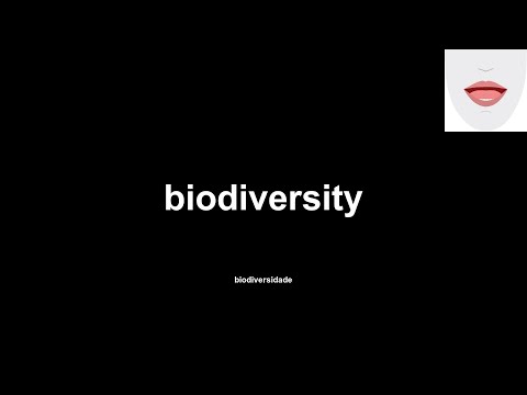 biodiversity (biodiversidade) How to Pronounce and definitions