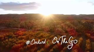 Orchard on the Go screenshot 3