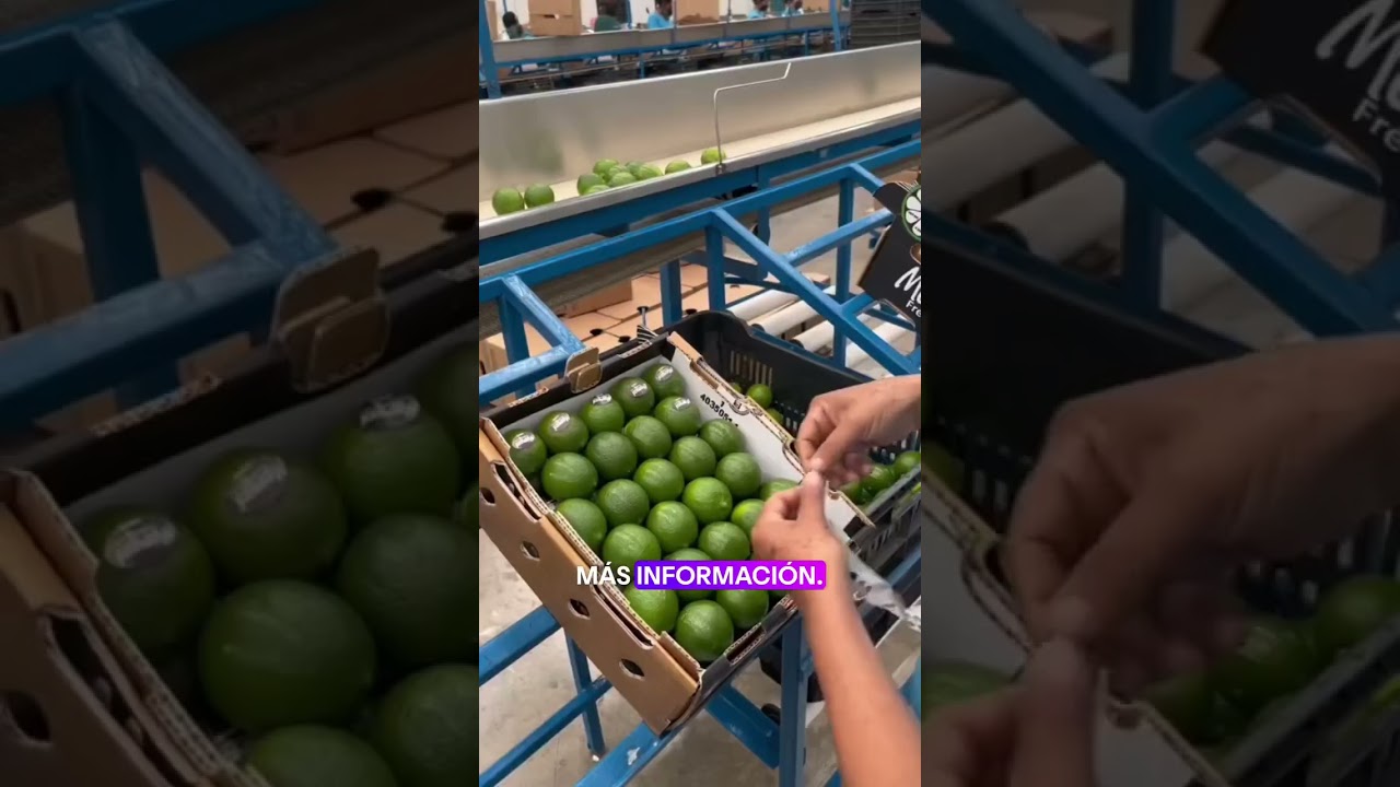 FOOD PACKING JOBS -SP