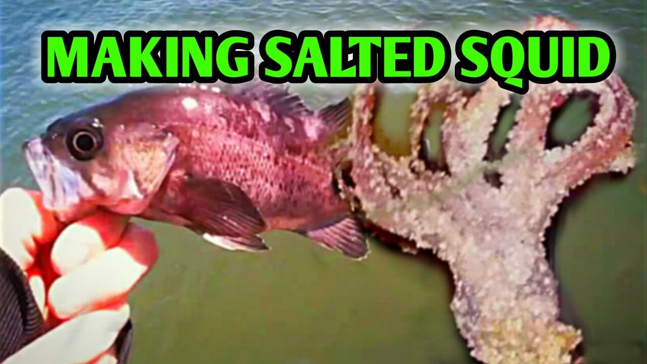 MAKING SALTED SQUID FOR BAIT. SAVE MONEY. 