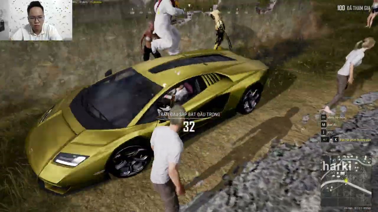 "Quacky Fun: A Day in the Life of Goofy Ducks"