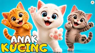 Kittens Meow Meow - Cheerful Children's Song for Toddlers