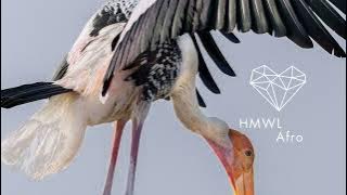 Massala - Funanya (Original Mix) [Afro House 2025/Deeproot Tribe]