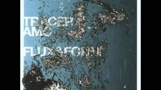 Tracer AMC: The Understudy