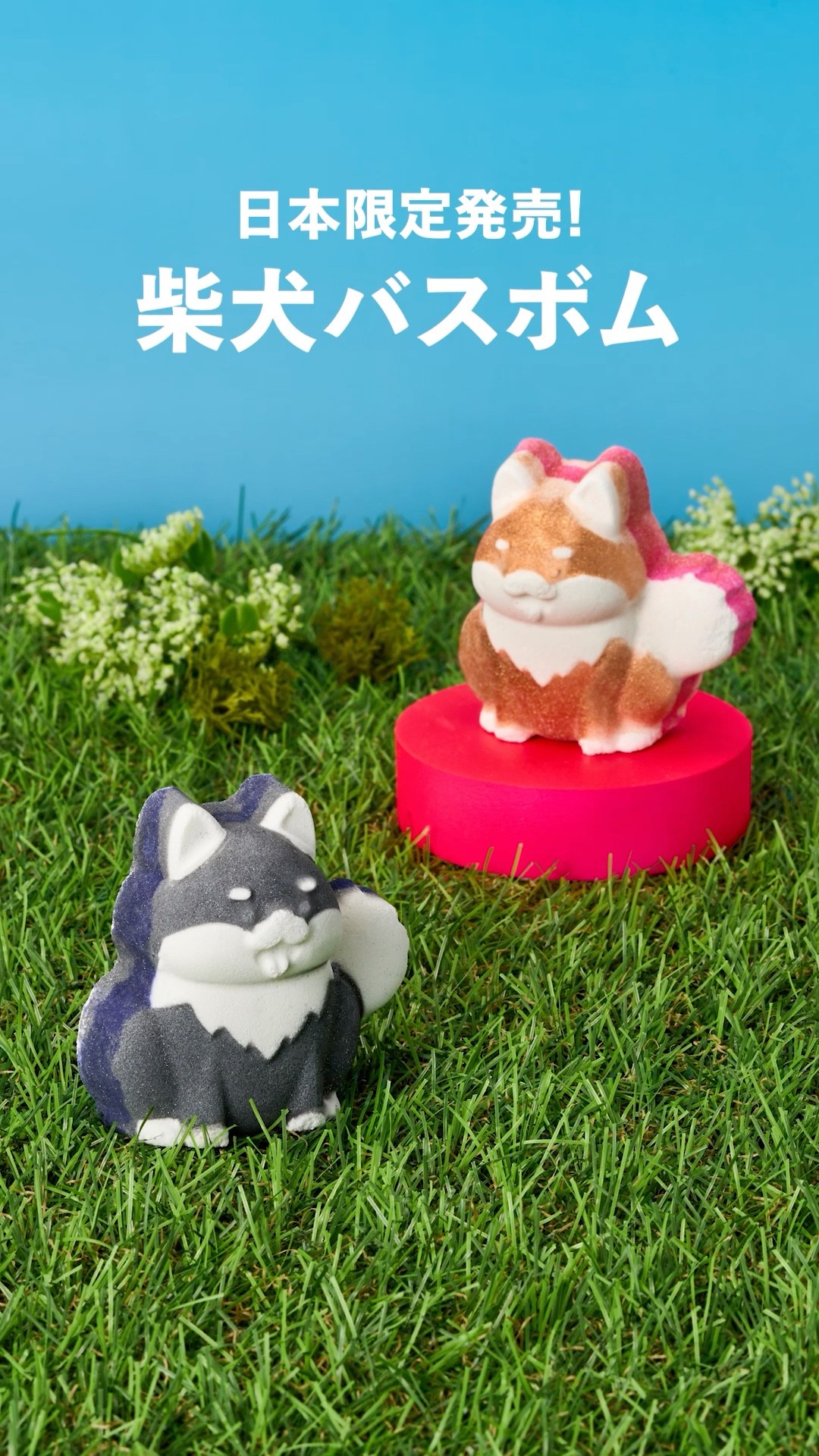 ワンダフルな2匹とお風呂でお散歩しない？柴犬バスボムが日本限定で