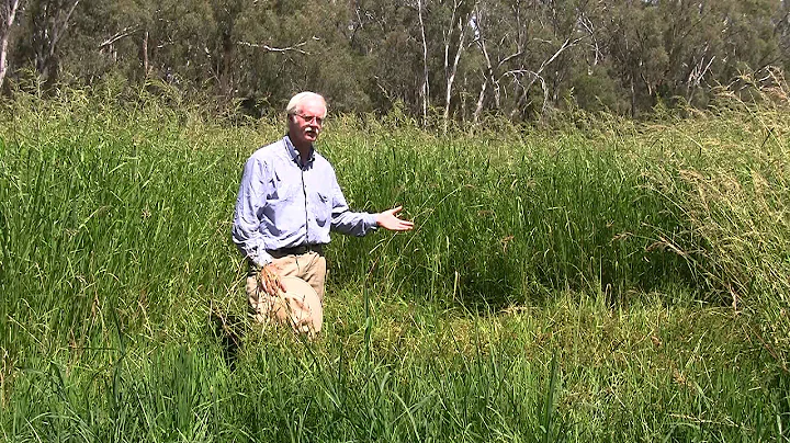 Malcolm Taylor: Herbicide resistance