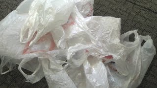 Town Hall FAQ – Weekly recycling
