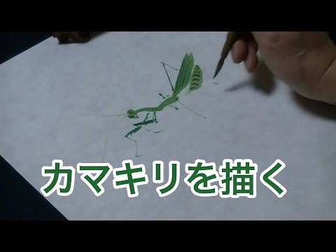 昆虫の描き方 カマキリを描く How To Draw Insects Youtube