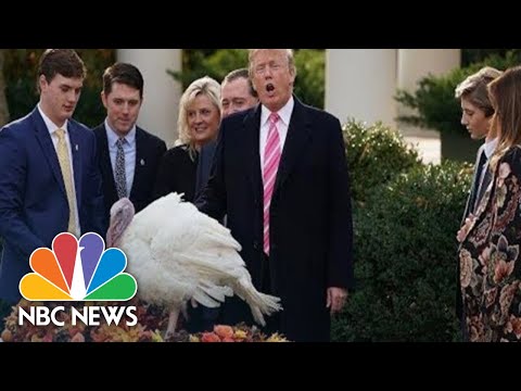 Watch Live: President Donald Trump Pardons National Thanksgiving Turkey | NBC News