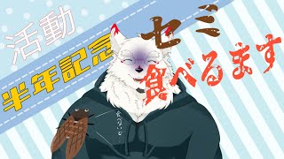 [半年記念]初めての昆虫食…セミ食べるマス…！！【ケモノVtuber/雪村ゆう】