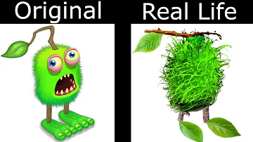 My Singing Monsters In Real Life!