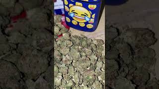 I Love Mango Cannabis 🥭