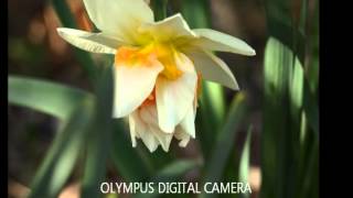 Winter / Spring ( SLIDE SHOW )
