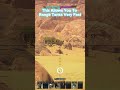 Rangefinder tips in Warthunder