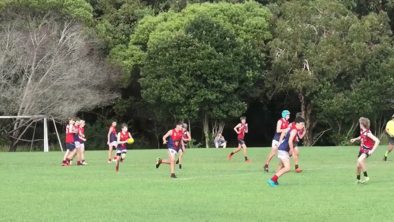 Josh Lenz AFL Highlight June 1 2025