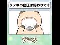 タヌキの血圧は終わりです #おわっタヌキ