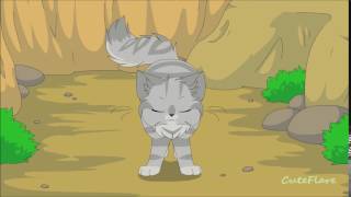 Jayfeather & Rock ~ It's Dangerous to go Alone MAP part 2