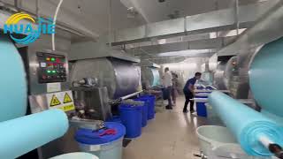 Laundry Detergent Sheet Machine