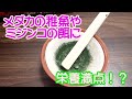 【メダカ】久しぶりの実験動画です。クロレラの粒をすり鉢で粉々にして与えてみたいと思います。ミジンコ増えるかな？