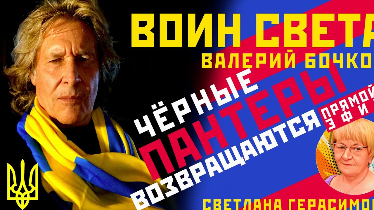 Валерий Бочков. Чёрные пантеры возвращаются. Демократия должна уметь защищаться. Самооборона Америки