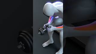 🦾 Strong Forearms Start Here — Just a Few Simple Reps