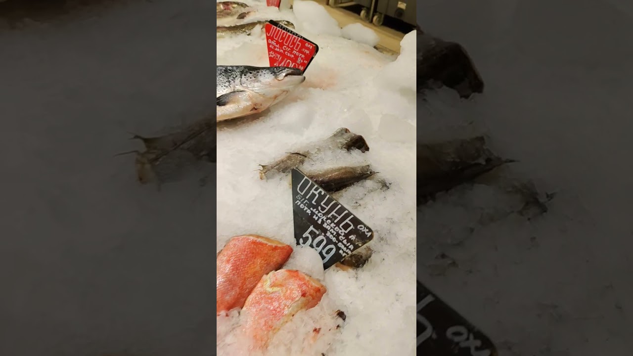 Мытищи ТРЦ Июнь Окей Рыба 862 Цены 