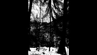 Ceremonial Crypt Desecration - XI