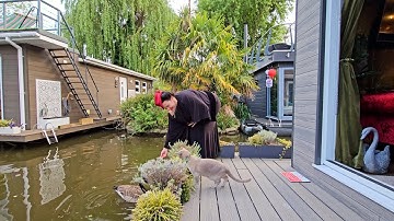 Inside Her London Floating Oasis  🏝️ 60sqm/645sqft House