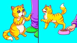 あなたの猫のおかしな行動