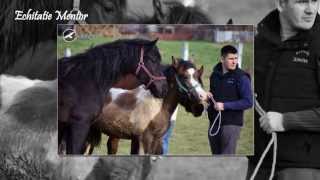 HD_Amazing Horses ★ Echitaţie Mentor ★ Hidişelu de Jos, Oradea Bihor (#27 Nikon D5100)