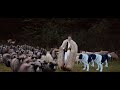 Ionut Nemes - Boala oilor 🐏 (Official Music Video)💙💛❤️
