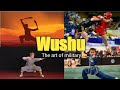 Wushu  the art of military hindi