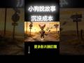 👉小狗說人性|錯了還不肯停,才是最大的代價。,#沉沒成本, #沉沒成本效應, #人性心理學, #人生智慧, #認知偏誤, #小狗說故事, #心理學, #人生哲學, #自我成長, #知識短片