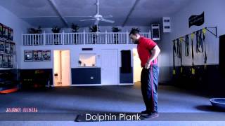 Dolphin Plank