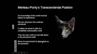 Komarine Romdenh-Romluc: Science in Merleau-Ponty's Phenomenology