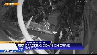 Cracking down on crime Net Worth