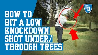 How To Hit a Low Knockdown Shot Under or Through Trees screenshot 3