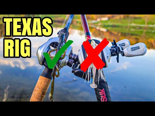 Texas Rigged Lizard NEVER Disappoints (Bank Fishing ) 