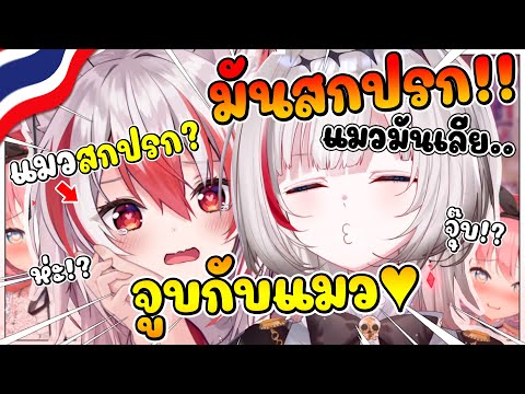 ดีจัง โดนรุกิบอกให้ จูบกับโคฮาคุ แต่ดีจังมีเหตุผลที่จะไม่จูบกับแมวเด็ดขาด !! [ Vtuber ซับไทย ]