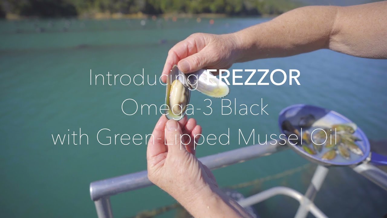 FREZZOR OMEGA3 BLACK 20210507 YouTube