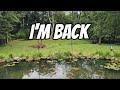 I M Back I M Back