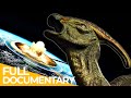 The last day of the dinosaurs  fd ancient history