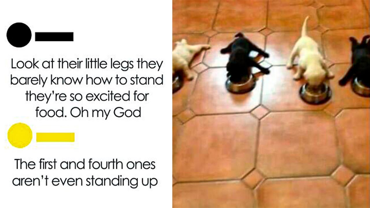 The Funniest Tumblr Posts That Are So Good, They Deserve To Be Seen Again and Again