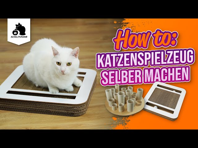 DIY cat toys: ideas, adventure scratching board & puzzle board made of  cardboard - YouTube