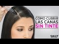 Como cubrir las Canas SIN TINTE