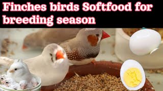 Finch bird Softfood for Breeding season || Top Softfood for Finch birds || Breeding tips for finch
