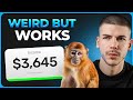 How Monkeys Make $3,000/Day Online (2024 Passive Income)