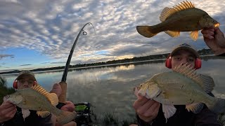 Catching Golden Perch Where Nobody Else Fishes! | Nonstop bites!