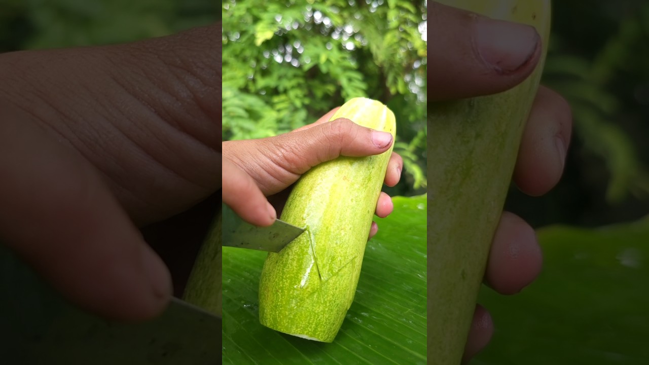 Unique way to make cucumber | cucumber recipe in village 